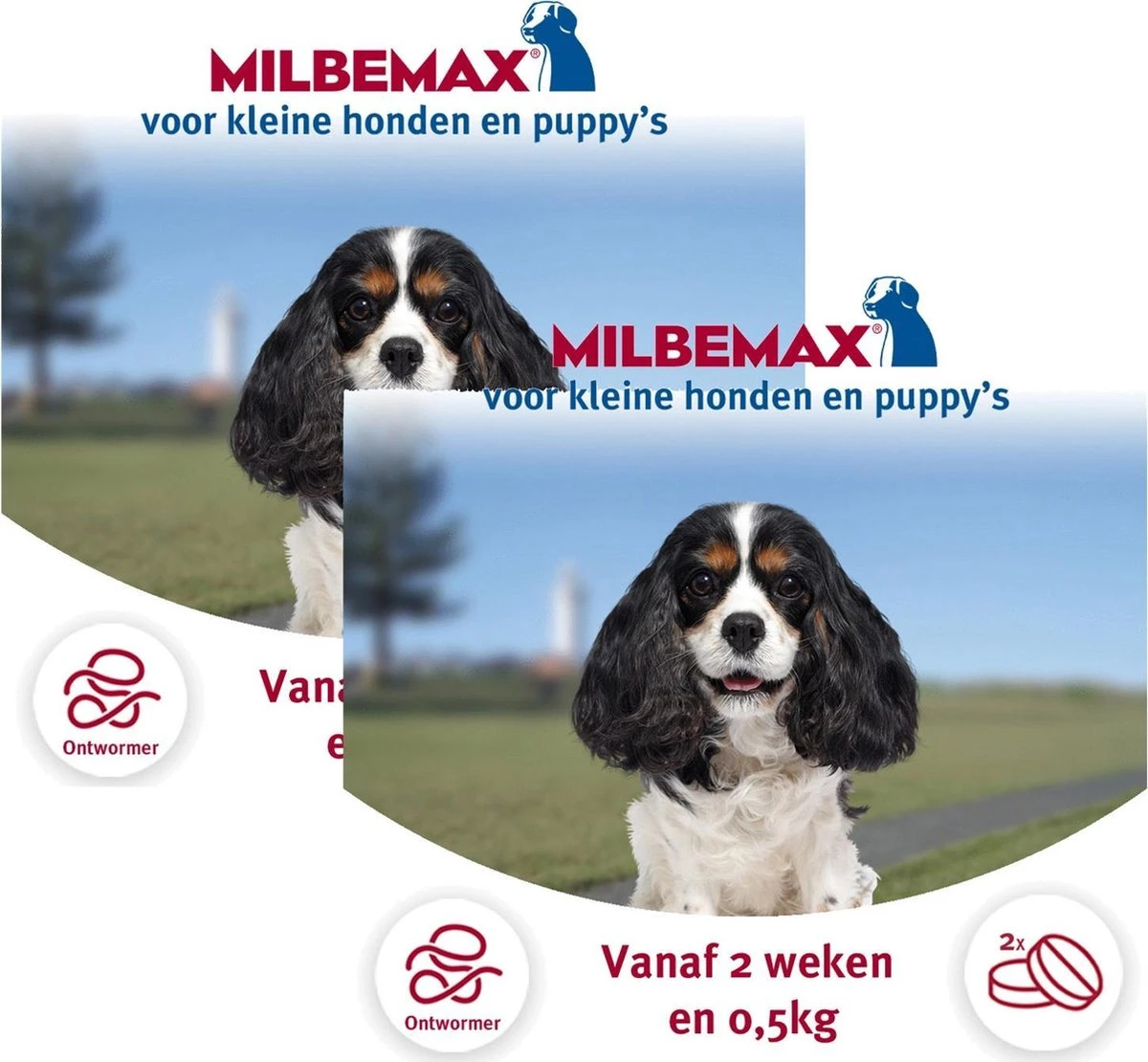 Elanco Milbemax Pup & Hond - Anti Wormenmiddel - 2 X 2 Tab 0.5-10kg 3 Elanco Milbemax Pup & Hond - Anti Wormenmiddel - 2 X 2 Tab 0.5-10kg
