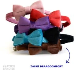 Kattenhalsband Velvet Met Strik | Halsband Kat | Kattenband Velours | Kattenbandje Velvet Met Strik, Veiligheidssluiting En Belletje In Roze -Huisdierbenodigdheden Korting 1200x1112 11
