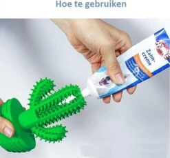 Tandenborstel + TANDPASTA Hond Melk Geur Smaak En Piep Honden Speelgoed - Cactus Dog Toy Tandverzorging Kauwbotten Hondenspeelgoed Hondenbot Kauwstaaf Tanden Puppy Hondenspeeltje Sterk Kauwspeelgoed - Dutchwide -Huisdierbenodigdheden Korting 1200x1113 7