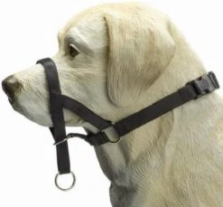 Beeztees Dog Control - Halsband Hond - Zwart - XL