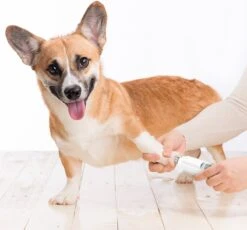 Auronic Elektrische Nagelvijl - Voor Dieren - Oplaadbaar - Draadloos - Diamant Vijlkop - Hond/Katten - Wit 18 Auronic Elektrische Nagelvijl - Voor Dieren - Oplaadbaar - Draadloos - Diamant Vijlkop - Hond/Katten - Wit -Huisdierbenodigdheden Korting 1200x1115 1