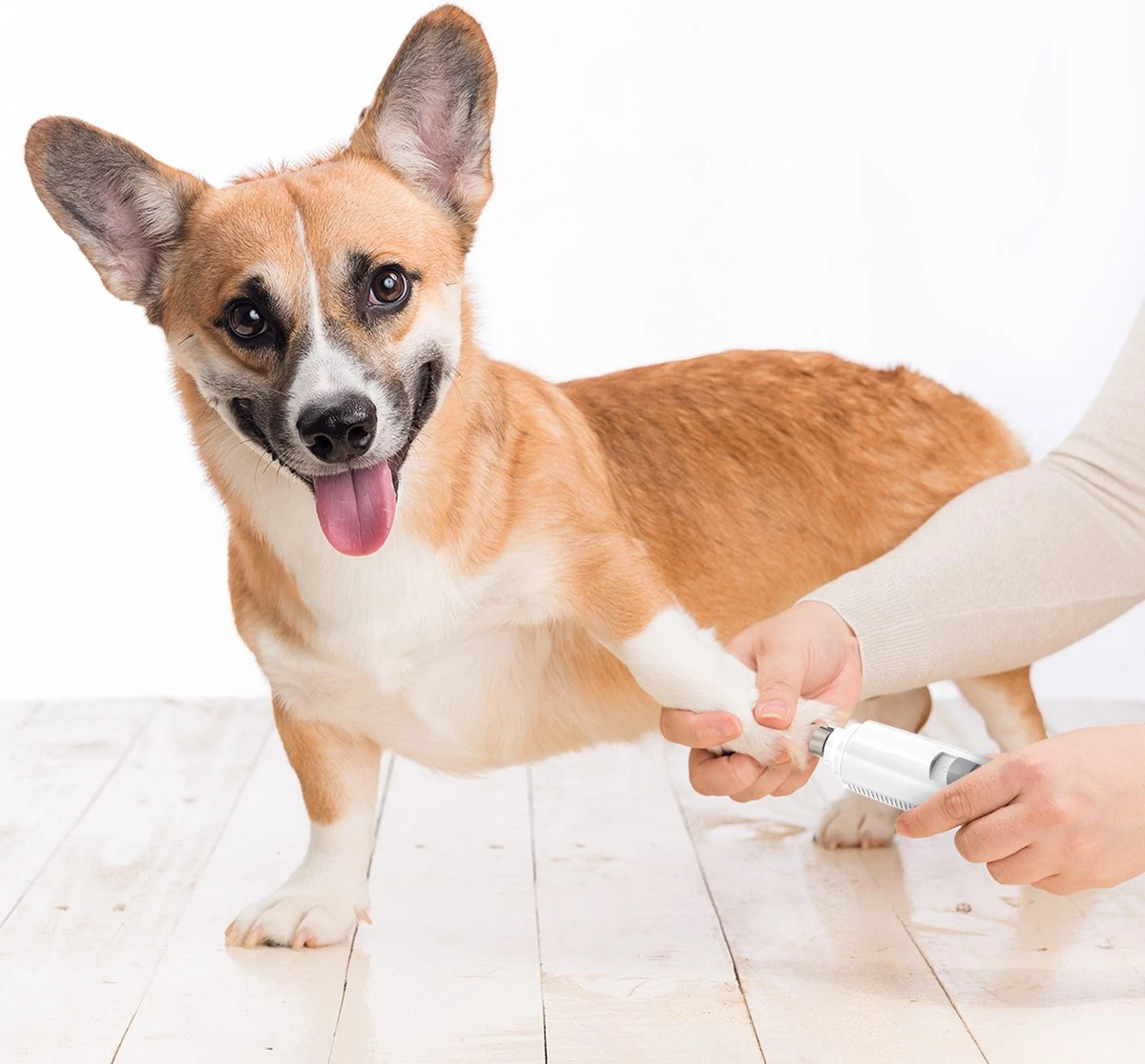 Auronic Elektrische Nagelvijl - Voor Dieren - Oplaadbaar - Draadloos - Diamant Vijlkop - Hond/Katten - Wit 9 Auronic Elektrische Nagelvijl - Voor Dieren - Oplaadbaar - Draadloos - Diamant Vijlkop - Hond/Katten - Wit - Image 7