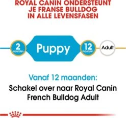 Royal Canin French Bulldog Junior 3 KG -Huisdierbenodigdheden Korting 1200x1115 3