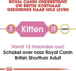 Royal Canin British Shorthair Kitten - 2 Kg -Huisdierbenodigdheden Korting 1200x1115 8