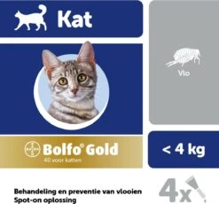 Bayer Bolfo Gold 40 Anti Vlooienmiddel - Kat - 0 Tot 4 Kg - 4 Pipetten -Huisdierbenodigdheden Korting 1200x1116 15