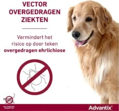 Bayer Advantix Spot-on 400/2000 25+ Kg - 4 Pipetten -Huisdierbenodigdheden Korting 1200x1117 10