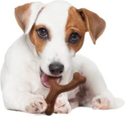 Nylabone Extreme Kauwbot Vorkbeen - Voor De Krachtigste Kauwers - Bizon Of Kipsmaak - S/M/L - Smaak: Bizon, Maat: Large -Huisdierbenodigdheden Korting 1200x1117 11