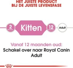 Royal Canin Kitten - Kittenvoer - 4 Kg -Huisdierbenodigdheden Korting 1200x1117 16