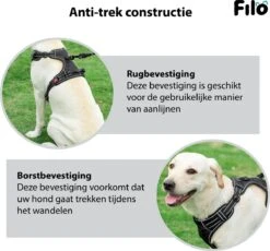 Filo Anti Trek Hondentuig L Met Hondenriem - Y Tuig Hond - Easy Walk Hondenharnas Large + Hondenlijn - Hondentuigje Verstelbaar - Leiband - Honden Tuigje - Riem -Huisdierbenodigdheden Korting 1200x1117 7