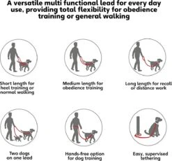 Company Of Animals Halti Trainingslijn - Large - 2 Meter - Verstelbaar - Zwart -Huisdierbenodigdheden Korting 1200x1119