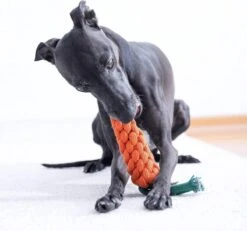 NufNuf - Hondenspeelgoed - Wortel - Stevig En Duurzaam Designspeelgoed -Huisdierbenodigdheden Korting 1200x1120 10