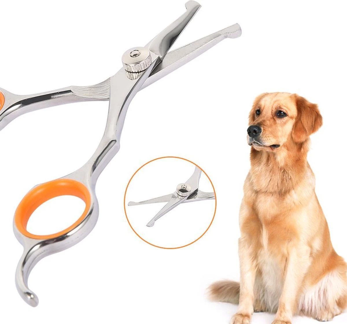 Merkloos Premium Gebogen Trimschaar Honden - Huisdier Trimmen - Hoofd, Poten Ogen & Oren - Kat & Hond Knippen - Veilige Schaar 7 Merkloos Premium Gebogen Trimschaar Honden - Huisdier Trimmen - Hoofd, Poten Ogen & Oren - Kat & Hond Knippen - Veilige Schaar - Image 5