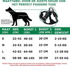 Mister Mill Hondentuigje 2x Klikgesp Maat L Grijs - Anti-Trek Tuig Hondenharnas - Y Tuig Hond Reflecterend 14 Mister Mill Hondentuigje 2x Klikgesp Maat L Grijs - Anti-Trek Tuig Hondenharnas - Y Tuig Hond Reflecterend -Huisdierbenodigdheden Korting 1200x1124 7