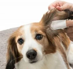 Trixie Vingerdoekjes Voor De Oorverzorging - Oorverzorgingsmiddel - 50 Stuks -Huisdierbenodigdheden Korting 1200x1125 9