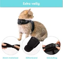 Kattentuigje Met Leiband Riem Kattenharnas Geel Maat M Kat & Kitten - Dieren Kattenriem - Cat Leash - Halsomvang 20 Tot 26cm - Borstomvang 30 Tot 34cm - Zootic® -Huisdierbenodigdheden Korting 1200x1126 10