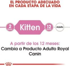Royal Canin Kitten - Kittenvoer - 2 Kg -Huisdierbenodigdheden Korting 1200x1127 7