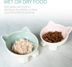 Navaris Voerbakjes Voor Katten - Set Van 2 Voer- En Waterbakken - Etensbak Van Keramiek - Met Antislip Voetjes - Kattenvorm - Roze/Groen 12 Navaris Voerbakjes Voor Katten - Set Van 2 Voer- En Waterbakken - Etensbak Van Keramiek - Met Antislip Voetjes - Kattenvorm - Roze/Groen -Huisdierbenodigdheden Korting 1200x1128 9