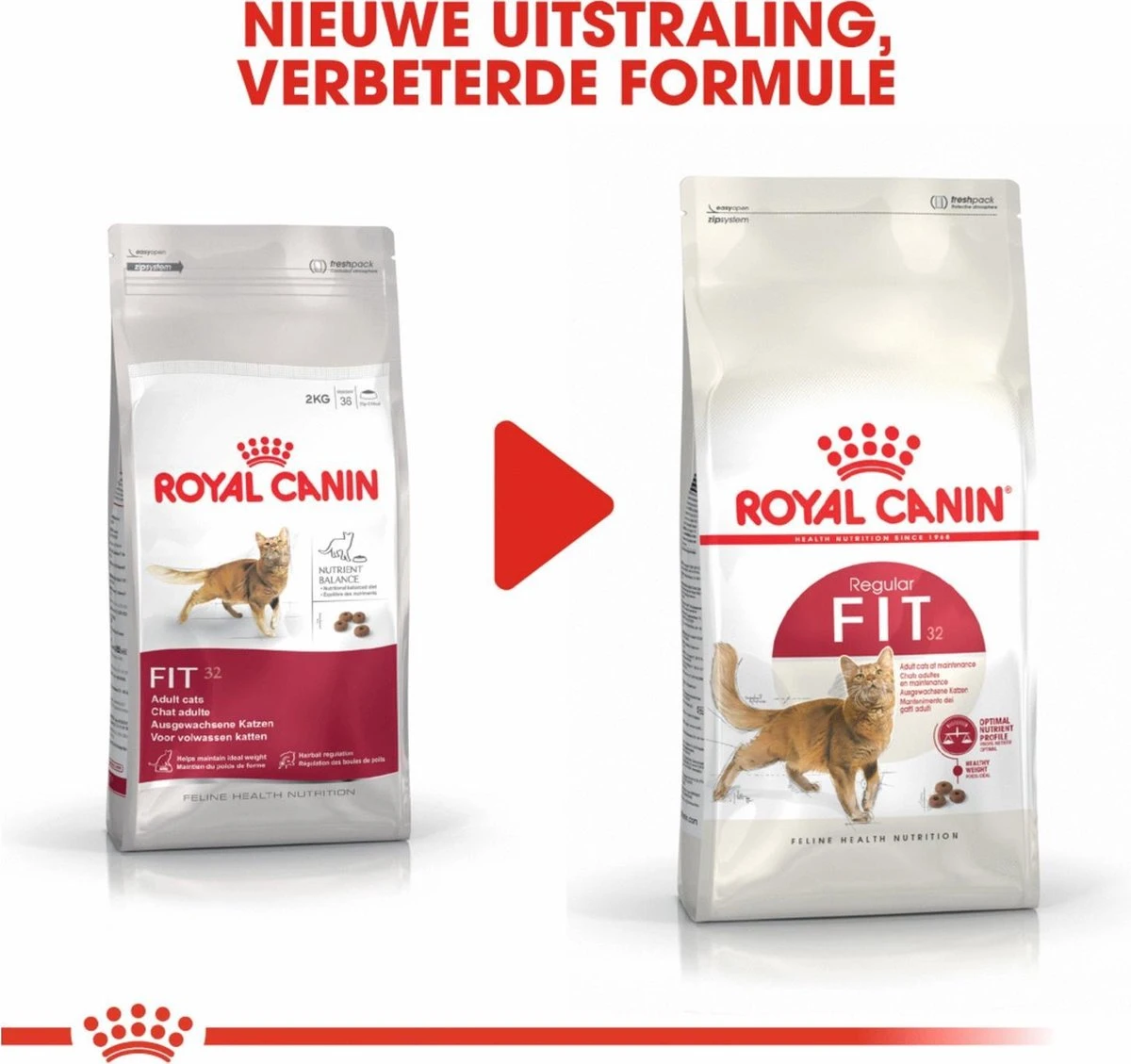 Royal Canin Fit 32 4 Kg 13 Royal Canin Fit 32 4 Kg - Image 11