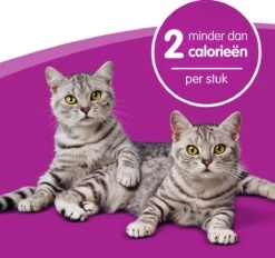 Whiskas Dentabites Kattensnoepjes - Kip - 8 X 40g -Huisdierbenodigdheden Korting 1200x1129 15