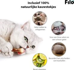 Filo Kattenspeelgoed Set 30 Stuks - Kattenspeeltje Kattentunnel - Kattenhengel - Kattenveertjes - Vis Met Kattenkruid - Kattenspeeltjes Intelligentie Kitten - Interactief Speelgoed Katten - Poezen Speeltjes -Huisdierbenodigdheden Korting 1200x1133 17
