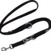 DDOXX Hondenriem Air Mesh, 3-voudig Verstelbaar, 2m | Voor Kleine & Grote Honden | Dubbele Riem Twee Honden Kat Puppy | Tug Leash Large | Lead Leash Small | Walking Leash Puppy Leash | Zwart, M -Huisdierbenodigdheden Korting 1200x1133 2