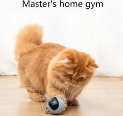 Otiume Interactieve Speelbal - Slimme Interactieve Jaag Speeltje Voor Katten - Kattenspeeltjes - Intelligente Jaagbal - AI -USB Oplaadbaar - LED - Blauw 13 Otiume Interactieve Speelbal - Slimme Interactieve Jaag Speeltje Voor Katten - Kattenspeeltjes - Intelligente Jaagbal - AI -USB Oplaadbaar - LED - Blauw -Huisdierbenodigdheden Korting 1200x1137 17
