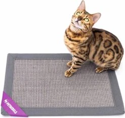 Petrebels Mastermat 60 Katten Krabmat - Grijs - 60 X 40 Cm - Zeer Sterk -Huisdierbenodigdheden Korting 1200x1137 20
