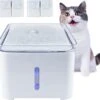 Drinkfontein Voor Huisdieren, 2,0 L Drinkfontein Voor Huisdieren Met Filter Voor Katten En Honden, Automatische Stille Drinkfontein Voor Huisdieren Met Led-verlichting-plein 2 Drinkfontein Voor Huisdieren, 2,0 L Drinkfontein Voor Huisdieren Met Filter Voor Katten En Honden, Automatische Stille Drinkfontein Voor Huisdieren Met Led-verlichting-plein -Huisdierbenodigdheden Korting 1200x1138 3