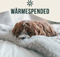 Happilax Fluffy Hondendeken Voor Auto & Bank, Wasbare Hondenmat Voor Op Reis, Grijs, L -Huisdierbenodigdheden Korting 1200x1139 11