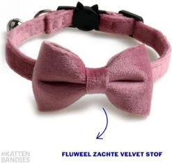 Kattenhalsband Velvet Met Strik | Halsband Kat | Kattenband Velours | Kattenbandje Velvet Met Strik, Veiligheidssluiting En Belletje In Roze -Huisdierbenodigdheden Korting 1200x1141 13