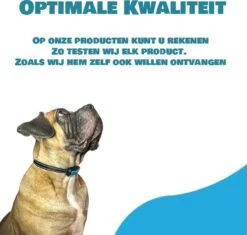 Exomar® Anti Blafband Voor Honden Blafband Anti Blaf Apparaat Blafband Zonder Schok - Diervriendelijk -Huisdierbenodigdheden Korting 1200x1141 2