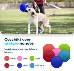 Jolly Pets Jolly Soccer Ball – Hondenspeelgoed – Hondenspeeltjes Voor Binnen En Buiten – Hondenbal Voor Honden – Hondenvoetbal – Jollyflex Stevig Kunststof – Drijvend Hondenspeeltje – Ø20cm – Licht Blauw -Huisdierbenodigdheden Korting 1200x1142 15
