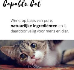 Capable Cat Vlooienband Kat | Vlooien | Luizen | Teken | Mijten | 8 Maanden Bescherming | Katten 13 Capable Cat Vlooienband Kat | Vlooien | Luizen | Teken | Mijten | 8 Maanden Bescherming | Katten -Huisdierbenodigdheden Korting 1200x1142 20