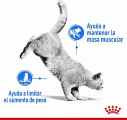 Royal Canin Light Weight Care - 1.5 Kg -Huisdierbenodigdheden Korting 1200x1143 20