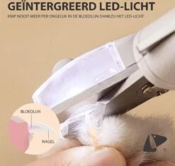 PETKIT® Professionele Dieren Nagelknipper - Nagelknipper Hond - Met LED - Met Vijl - Nageltang -Huisdierbenodigdheden Korting 1200x1143 8