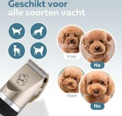 BYER Professionele Dieren Tondeuse Set - Voor Huisdieren Katten & Honden - Draadloos - Oplaadbare Pet Trimmer - Dog Tondeuze Clipper - 5 Standen & Vier Opzetkammen - Low Noise -Huisdierbenodigdheden Korting 1200x1144 1