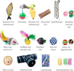 Filo Kattenspeelgoed Set 30 Stuks - Kattenspeeltje Kattentunnel - Kattenhengel - Kattenveertjes - Vis Met Kattenkruid - Kattenspeeltjes Intelligentie Kitten - Interactief Speelgoed Katten - Poezen Speeltjes -Huisdierbenodigdheden Korting 1200x1145 16
