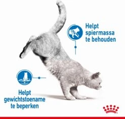 Royal Canin Light Weight Care - 1.5 Kg -Huisdierbenodigdheden Korting 1200x1146 16