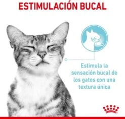 Royal Canin Sensory Multipack Mix - In Gravy - Kattenvoer - 12x85 G 11 Royal Canin Sensory Multipack Mix - In Gravy - Kattenvoer - 12x85 G -Huisdierbenodigdheden Korting 1200x1146 17