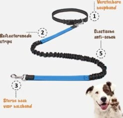 Hardloopriem Hond – Honden Riem Handsfree – Hardlopen Met Hond – 160-260 Cm Blauw - Hardloopband Hond – Halsband Hond – Hondenlijn – Leiband Hond -Huisdierbenodigdheden Korting 1200x1146