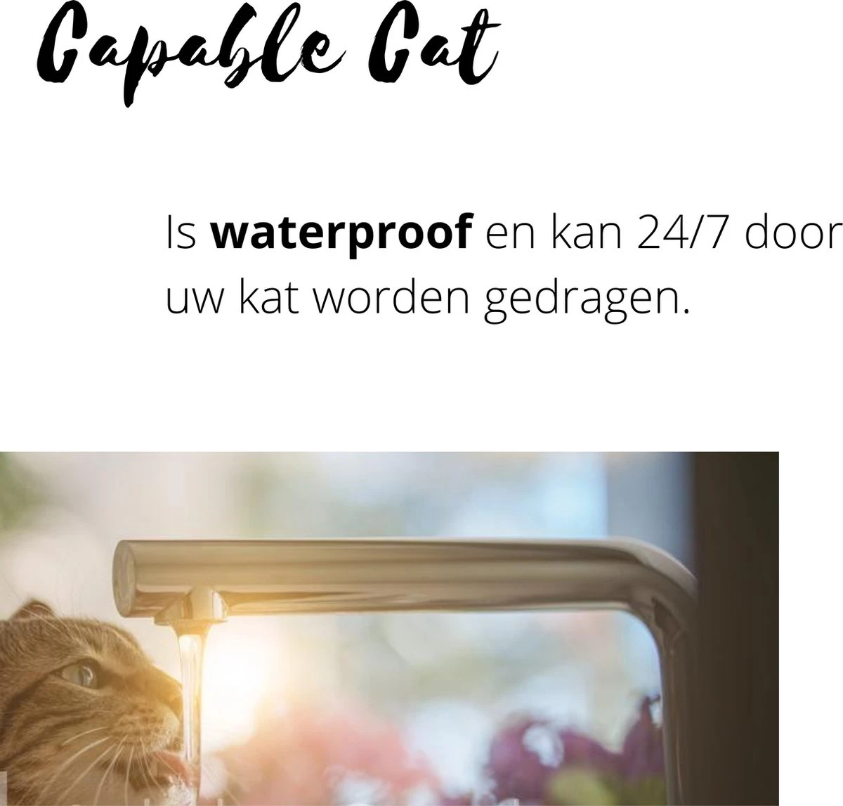 Capable Cat Vlooienband Kat | Vlooien | Luizen | Teken | Mijten | 8 Maanden Bescherming | Katten 5 Capable Cat Vlooienband Kat | Vlooien | Luizen | Teken | Mijten | 8 Maanden Bescherming | Katten - Image 3