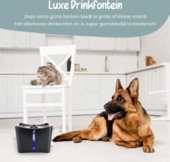 Loyalpetclub® XL Drinkfontein Kat – Drinkbak Hond & Kat - Waterfontein Kat – Waterdispenser 3L - Kattenfontein Met Waterfilter - Inclusief Mat 14 Loyalpetclub® XL Drinkfontein Kat – Drinkbak Hond & Kat - Waterfontein Kat – Waterdispenser 3L - Kattenfontein Met Waterfilter - Inclusief Mat -Huisdierbenodigdheden Korting 1200x1148 8