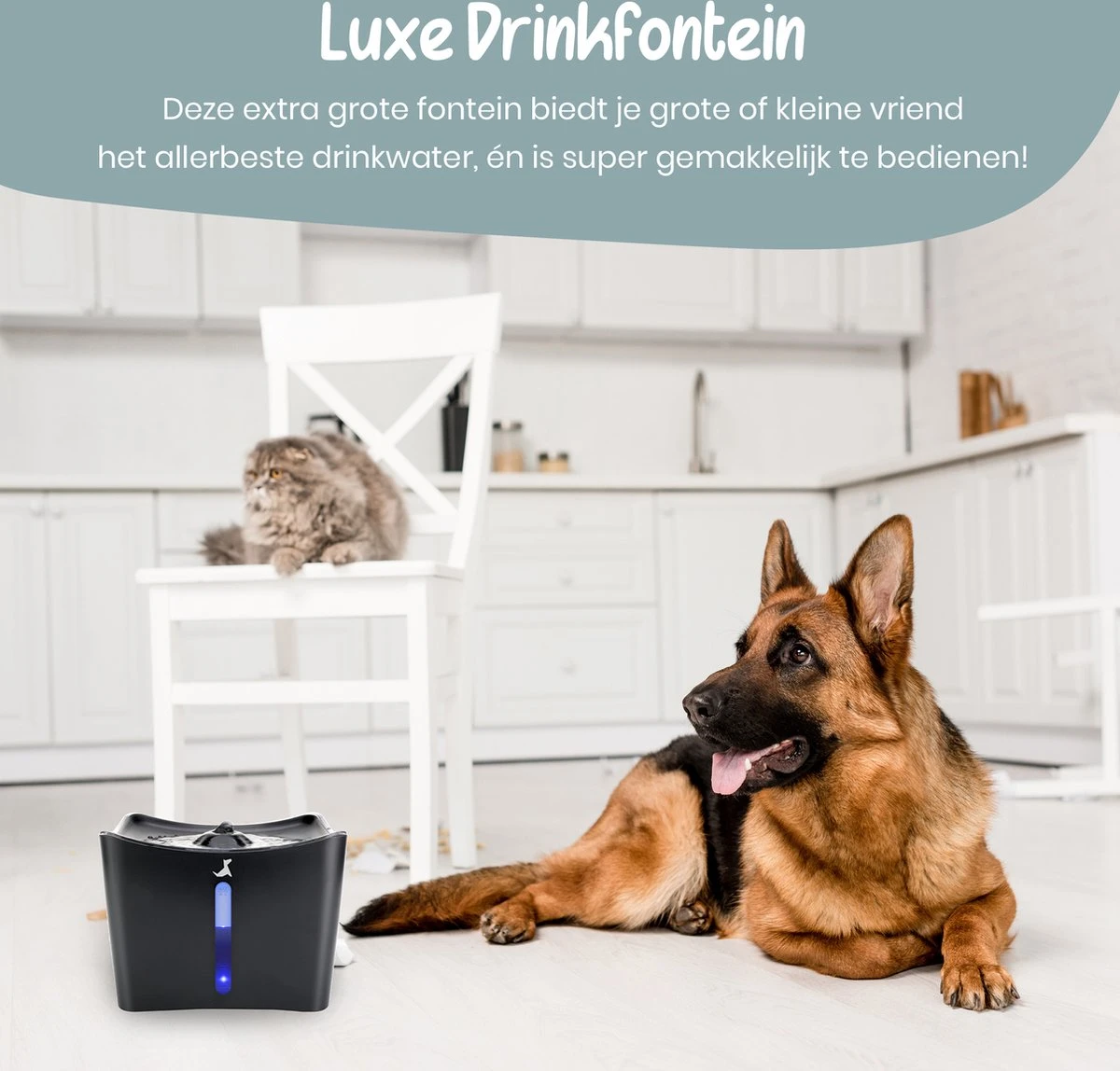 Loyalpetclub® XL Drinkfontein Kat – Drinkbak Hond & Kat - Waterfontein Kat – Waterdispenser 3L - Kattenfontein Met Waterfilter - Inclusief Mat 6 Loyalpetclub® XL Drinkfontein Kat – Drinkbak Hond & Kat - Waterfontein Kat – Waterdispenser 3L - Kattenfontein Met Waterfilter - Inclusief Mat - Image 4