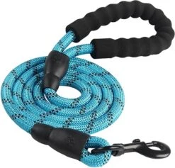 Comfortabele Hondenriem Met Gevoerd Handvat – Stevige Nylon Hondenlijn – Riem Voor Honden