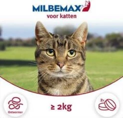 Milbemax Kat Groot - 1 ST à 2 X 2 TABL -Huisdierbenodigdheden Korting 1200x1152 12