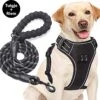 Filo Anti Trek Hondentuig L Met Hondenriem - Y Tuig Hond - Easy Walk Hondenharnas Large + Hondenlijn - Hondentuigje Verstelbaar - Leiband - Honden Tuigje - Riem -Huisdierbenodigdheden Korting 1200x1152 8