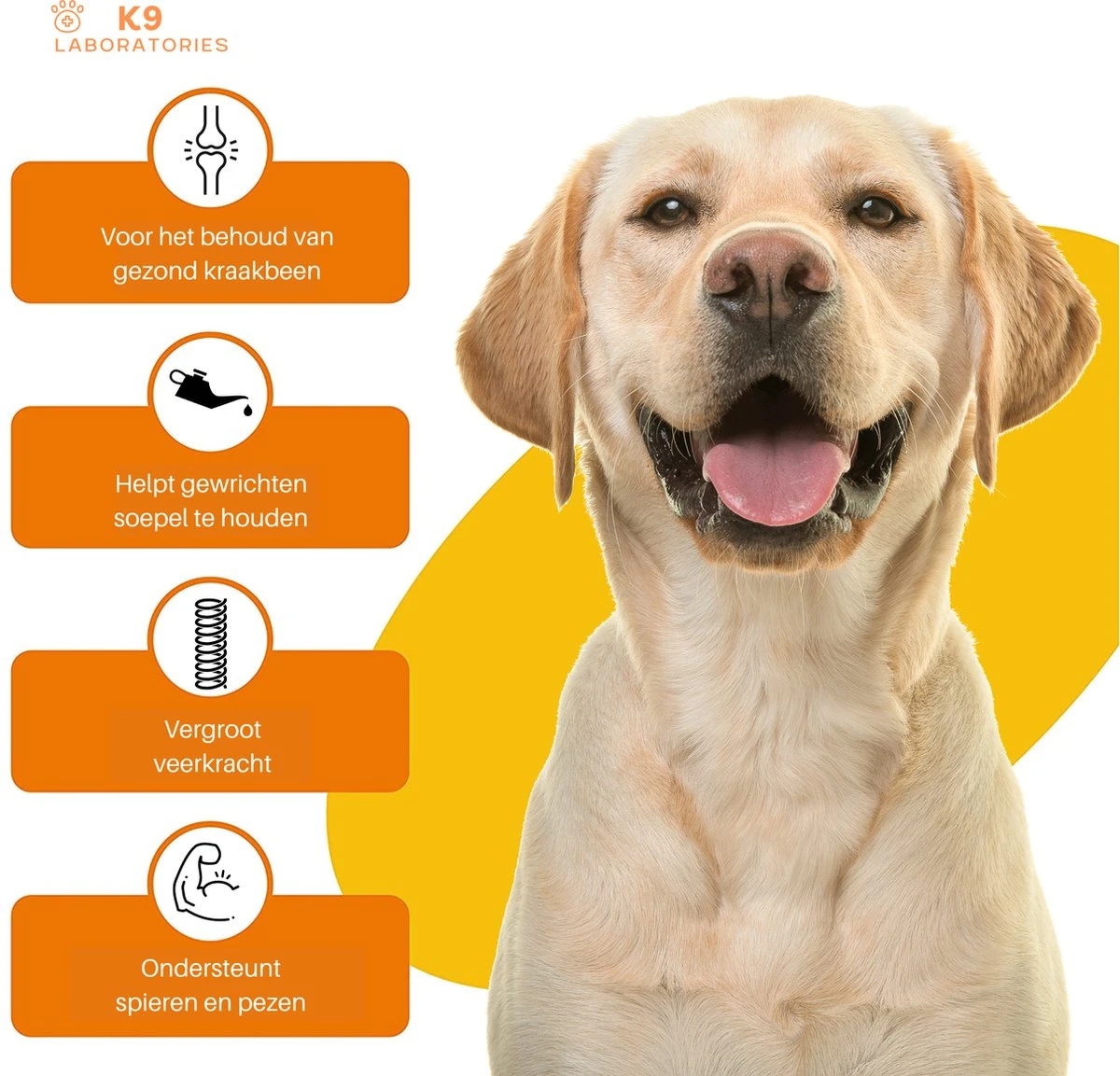 K9 Laboratories - Voordeel Pak - 120 Stuks - Voor Honden - Met Gewrichtsklachten - Artrose - Stijve Gewrichten - Ouderdom - HD - ED - Bevat Glucosamine - MSM - Chondorïtine - Voor Behoud Van Kraakbeen 7 K9 Laboratories - Voordeel Pak - 120 Stuks - Voor Honden - Met Gewrichtsklachten - Artrose - Stijve Gewrichten - Ouderdom - HD - ED - Bevat Glucosamine - MSM - Chondorïtine - Voor Behoud Van Kraakbeen - Image 5