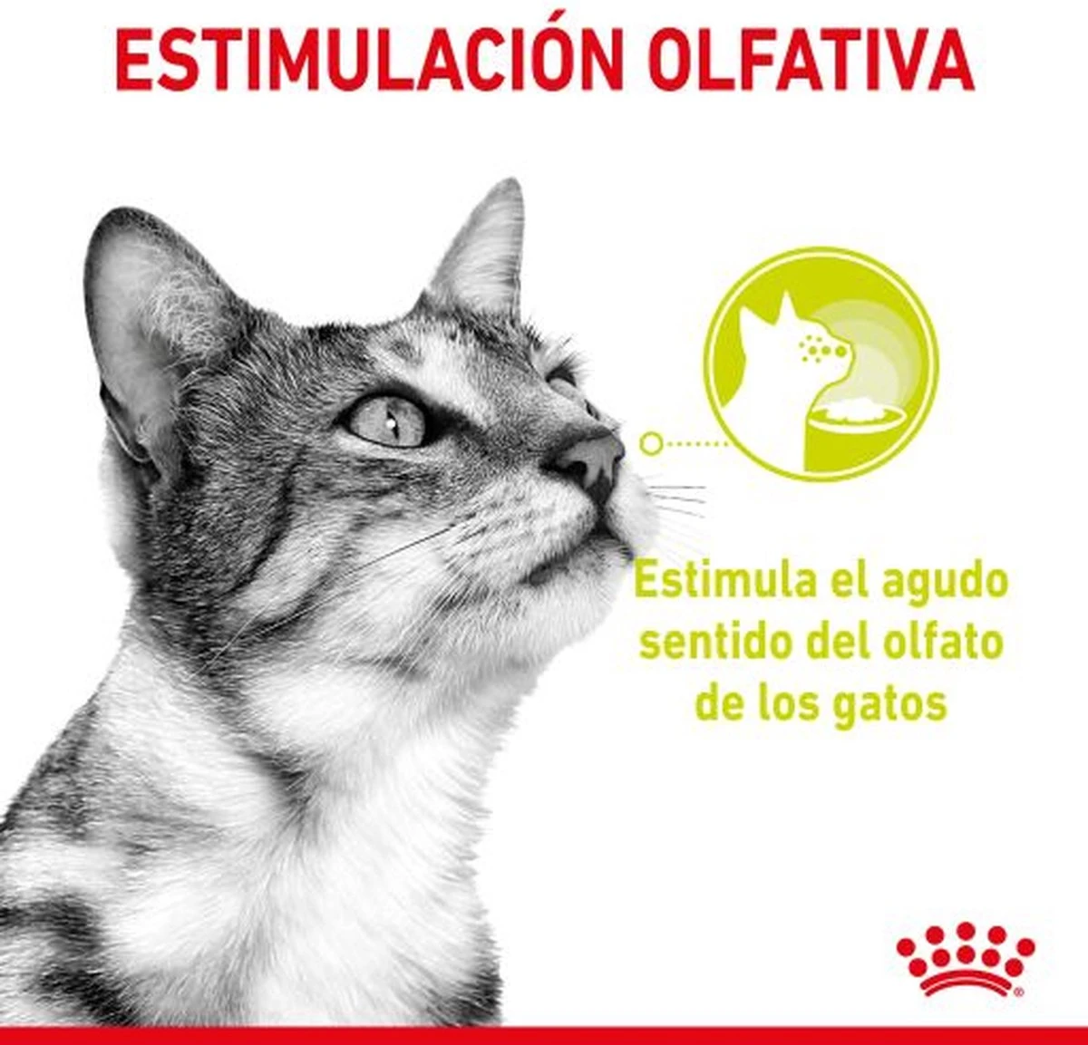 Royal Canin Sensory Multipack Mix - In Gravy - Kattenvoer - 12x85 G 5 Royal Canin Sensory Multipack Mix - In Gravy - Kattenvoer - 12x85 G - Image 3