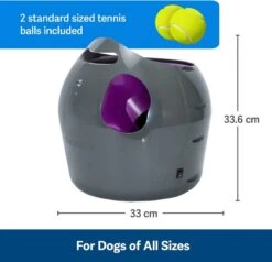 PetSafe Automatische Ballenwerper - Dierenspeelgoed -Huisdierbenodigdheden Korting 1200x1154 5