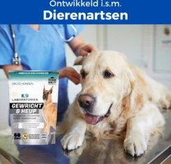 K9 Laboratories Gewricht & Heup 40+ Kg - 60 Stuks - Voor Grote Honden - Collageen - Glucosamine - Spirulina - Groenlipmossel -Huisdierbenodigdheden Korting 1200x1155 11